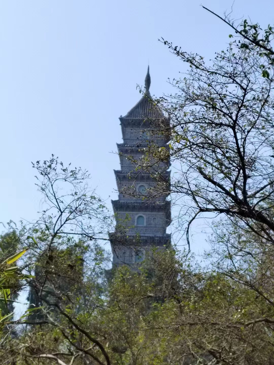 image-20230523165642706